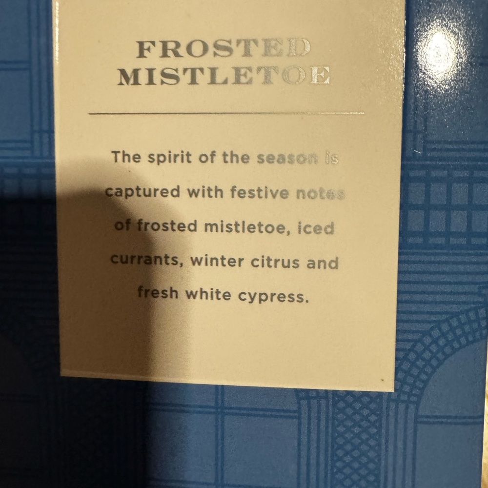 Frosted Mistletoe Reed Diffuser - Blue - Picture 5 of 9